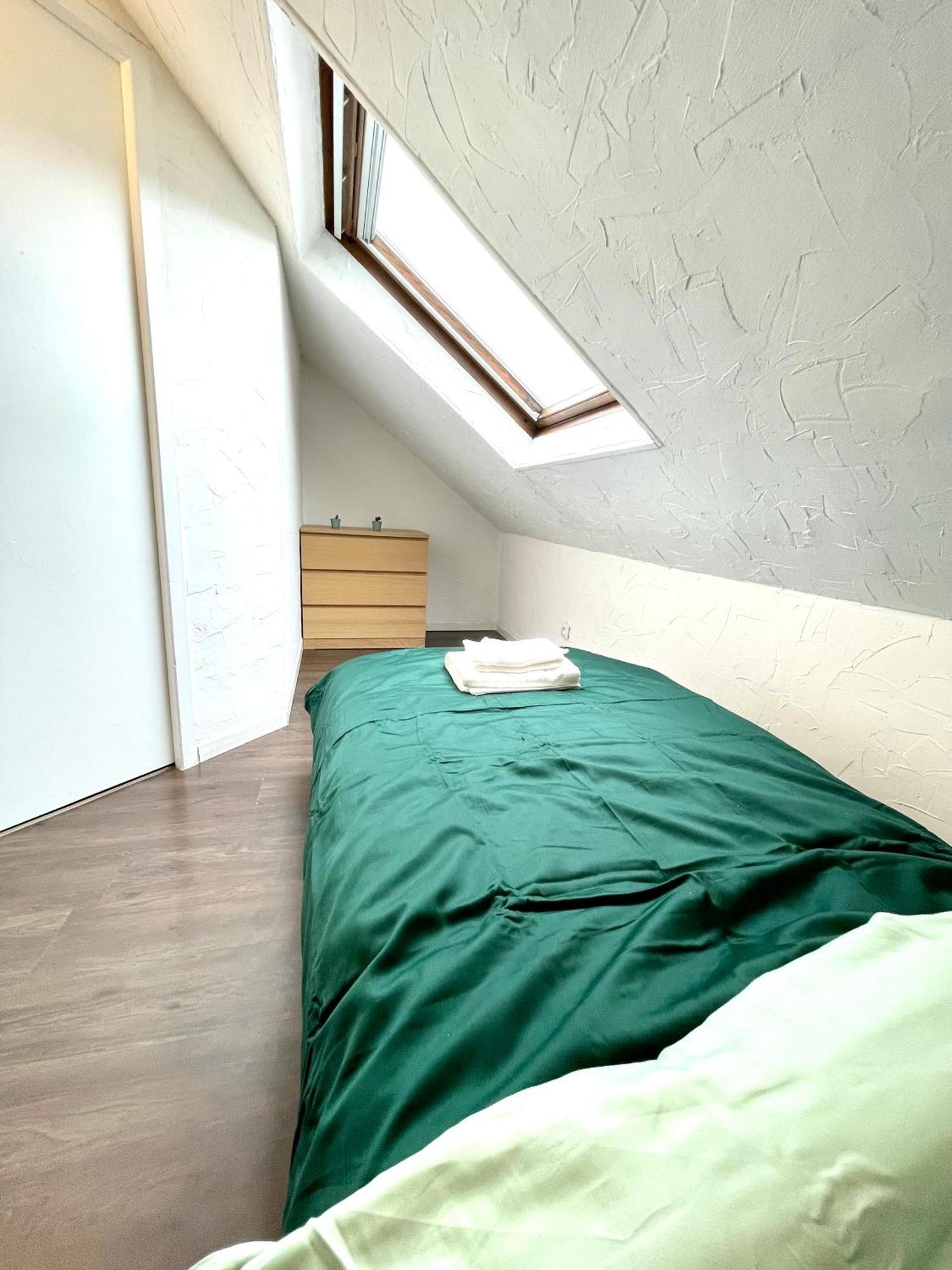 Appartement Duplex 90M2 - 3 Chambres - Mülhausen Exterior foto